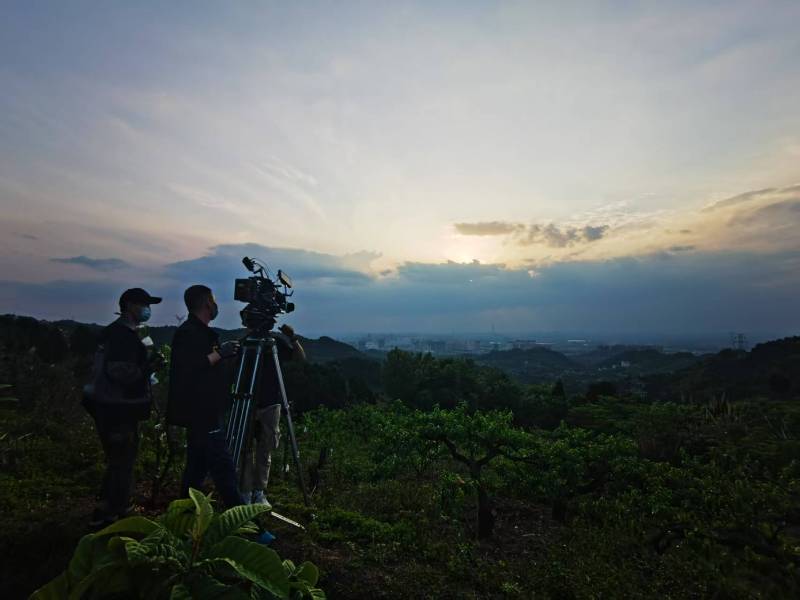 聚焦江陵县产品宣传视频拍摄公司，用专业实力铸就品牌传播传奇