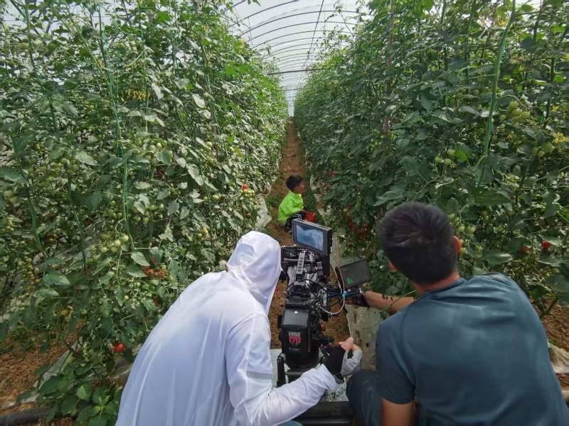 江陵县产品宣传视频拍摄公司进阶指南，助力品牌抢占传播高地